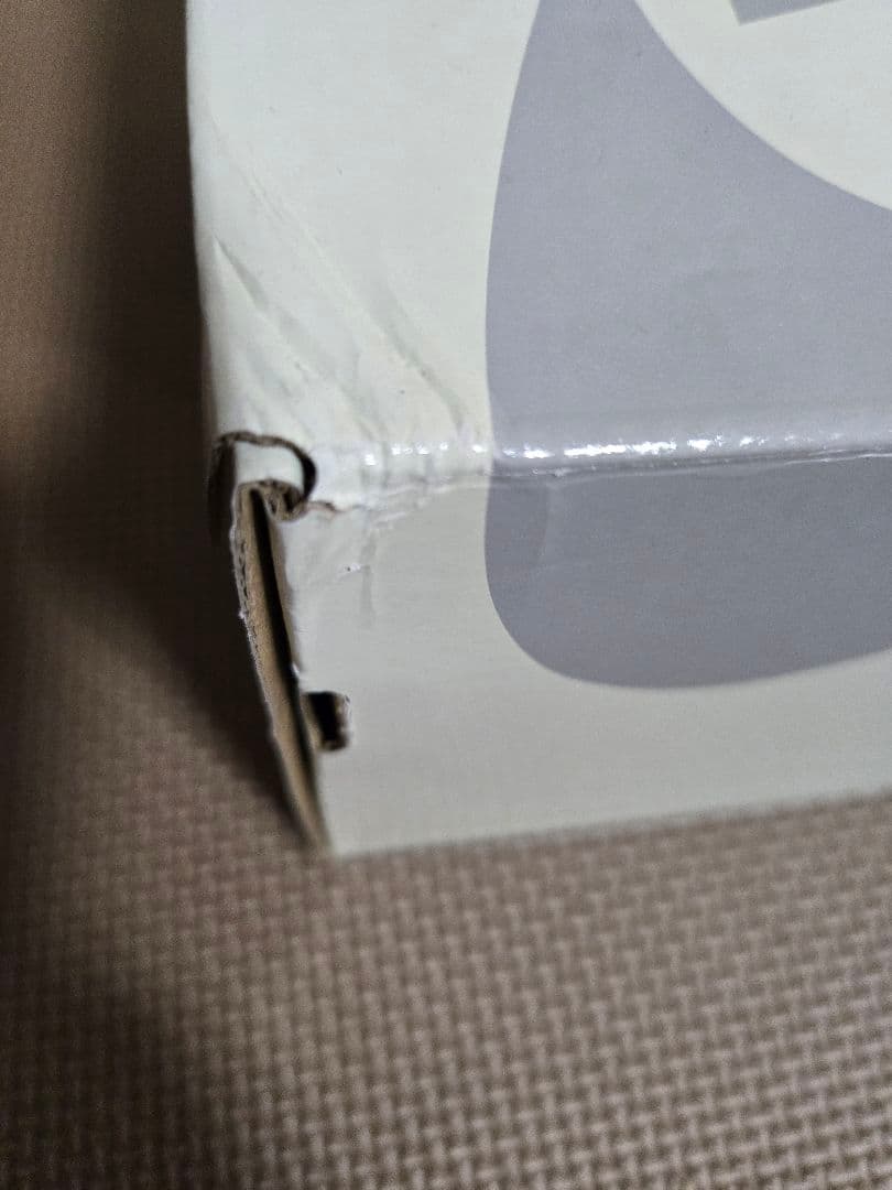 スケートボード Nike SB Dunk Low Riot Skate Bords 28.0cm