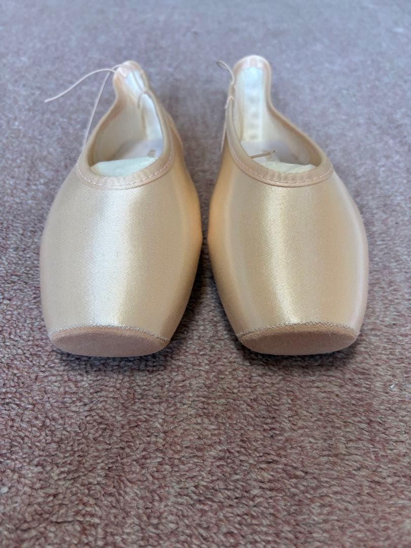 ゲイナーミンデントウシューズ　SK-8.5N4XDL