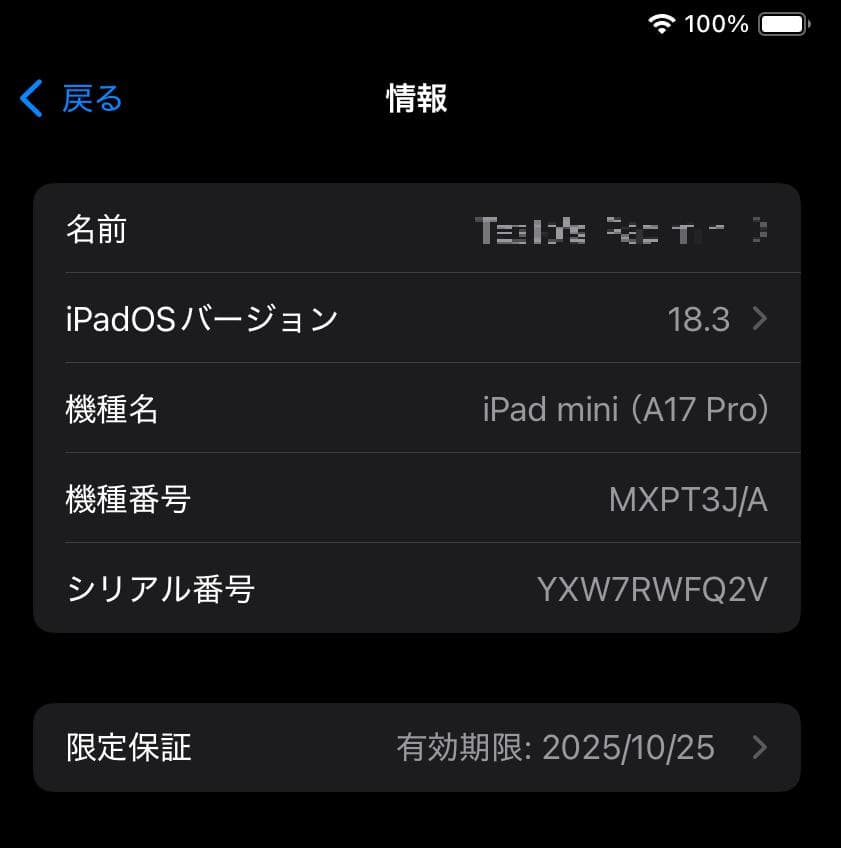美品 iPad mini セルラー 256GB スペースグレイ A17 第7世代