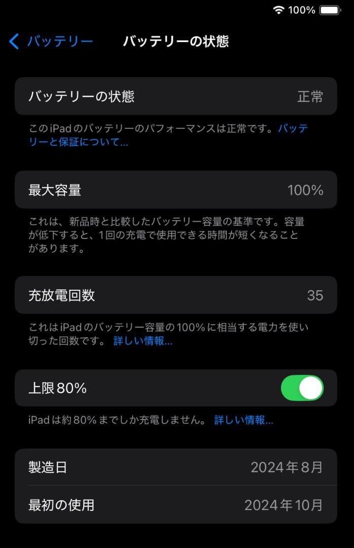美品 iPad mini セルラー 256GB スペースグレイ A17 第7世代