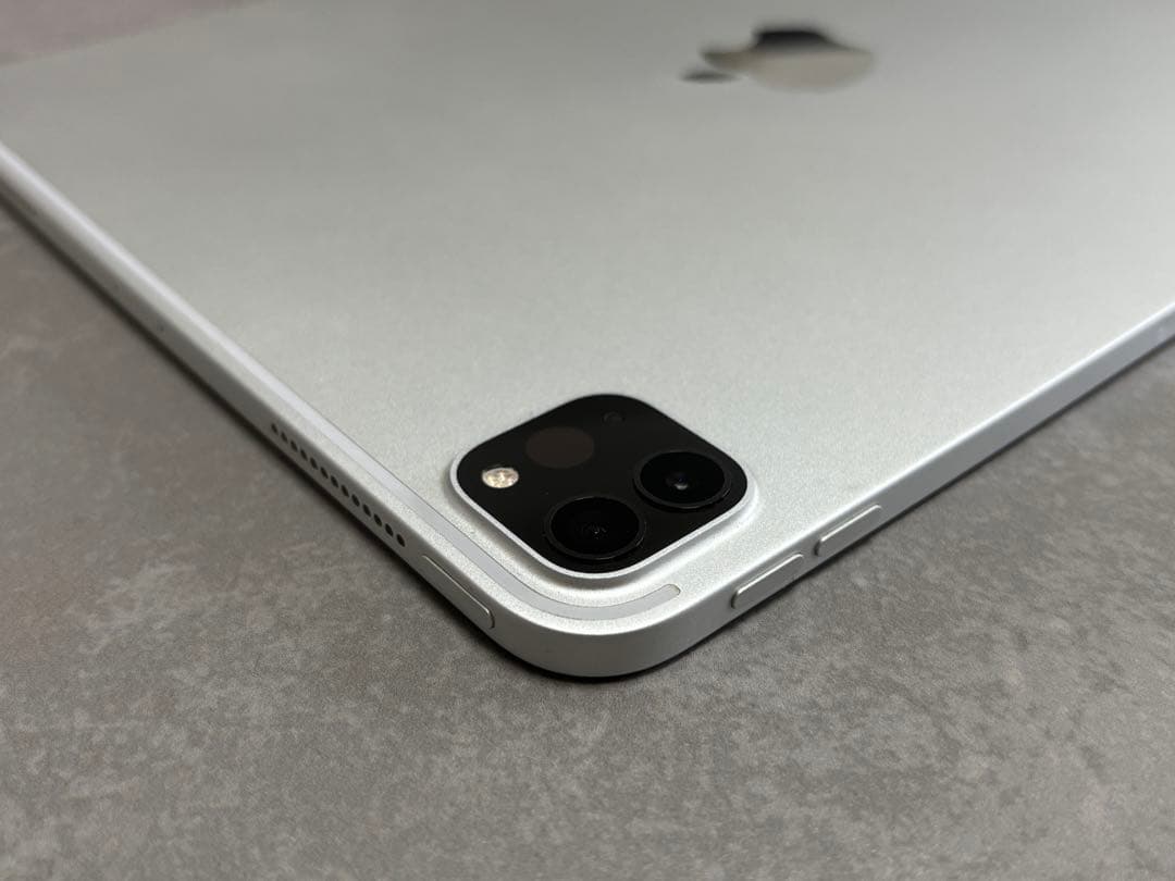 Apple iPad Pro 11 第2世代　256GB Wi-Fi