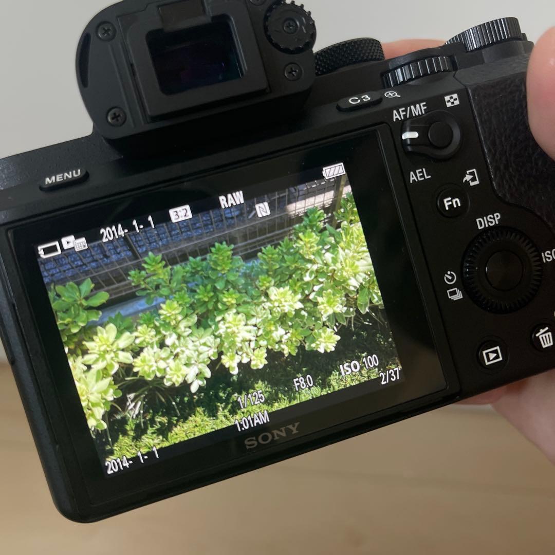 SONY α7II