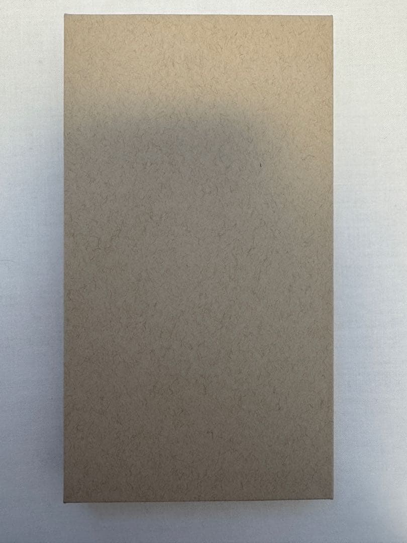 iPhone 15 Pro Max 1TB エクスプレス交換品