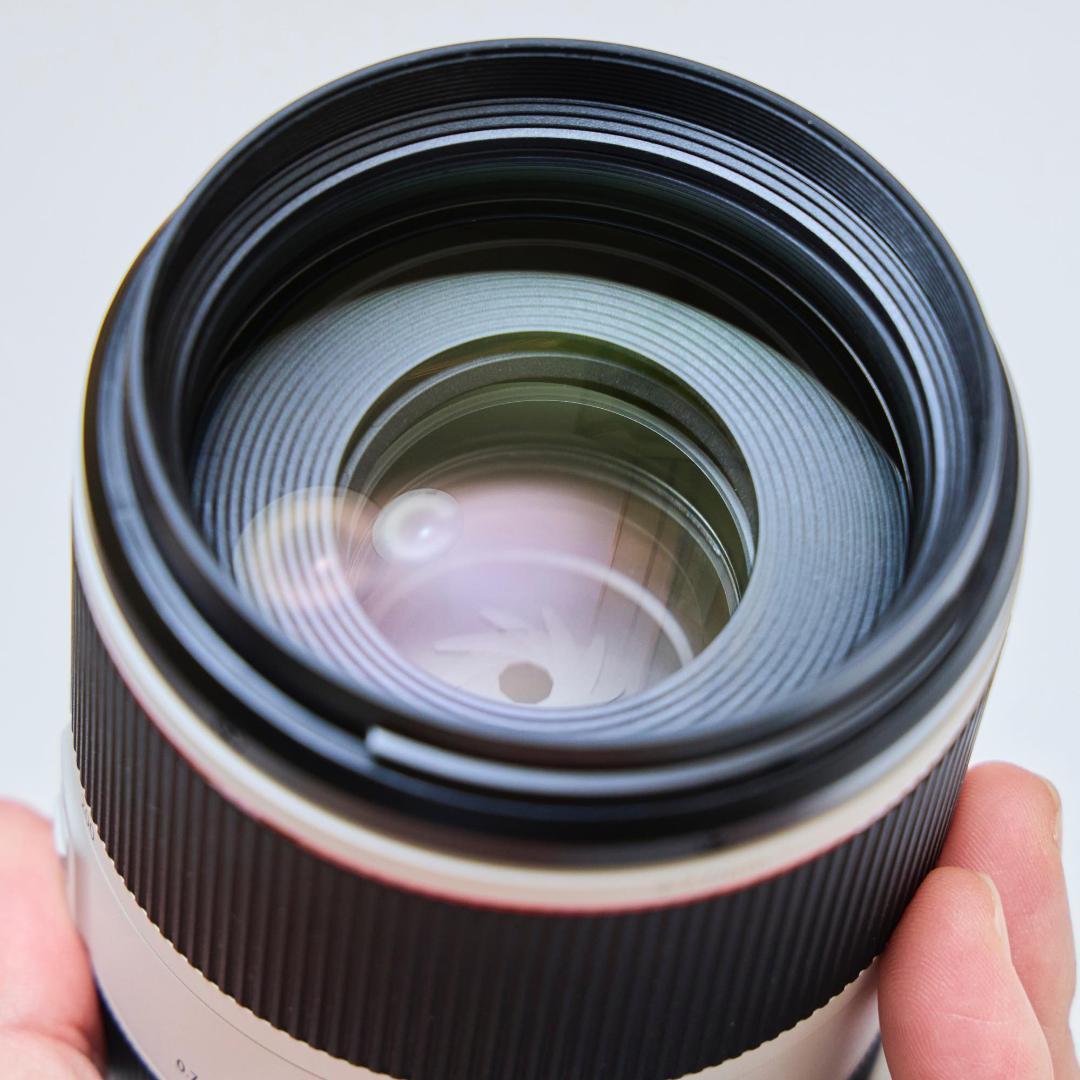 Canon キヤノン RF70-200mm F2.8 L IS USM（美品）