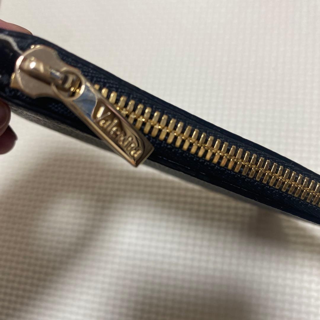 美品　ヴァレクストラ　ケース　カードケース　フラグメントケース