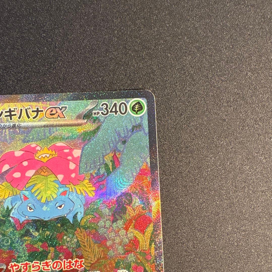 フシギバナ exsarセット