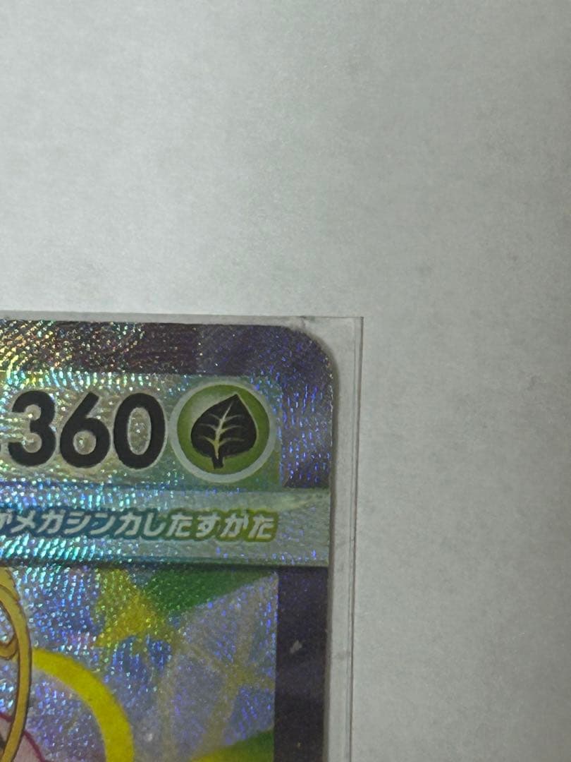 メガメガニウムex SAR 360 HP 草タイプ ポケモンカード