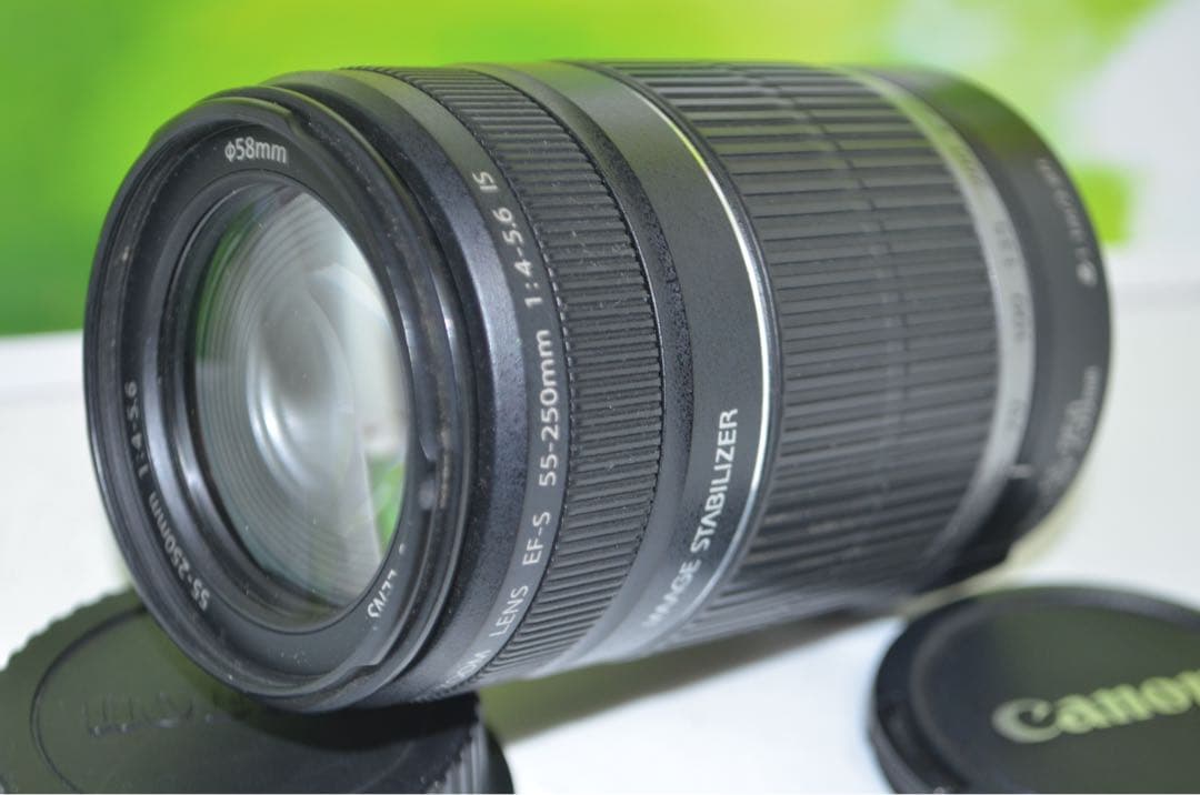 キャノン Canon EF-S 55-250mm IS☆お手軽望遠