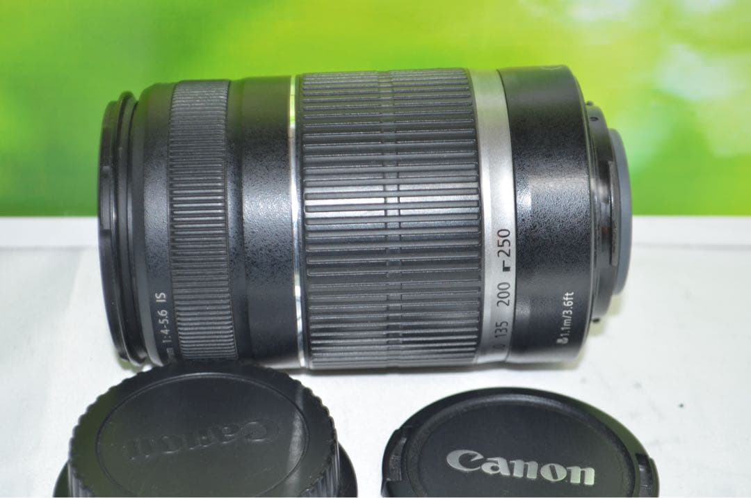 キャノン Canon EF-S 55-250mm IS☆お手軽望遠