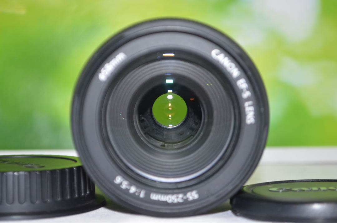 キャノン Canon EF-S 55-250mm IS☆お手軽望遠