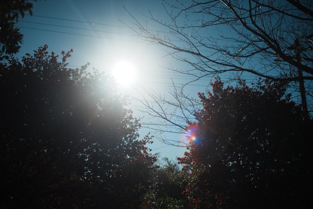 【整備＆テスト済】 ニコン Nikkor-o Auto 35mm F2 738