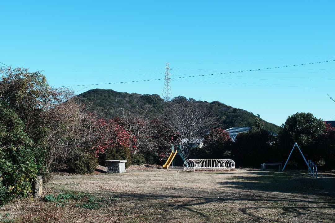 【整備＆テスト済】 ニコン Nikkor-o Auto 35mm F2 738