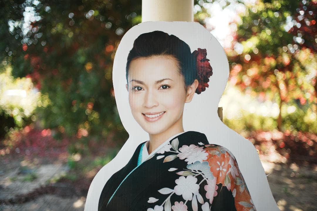 【整備＆テスト済】 ニコン Nikkor-o Auto 35mm F2 738