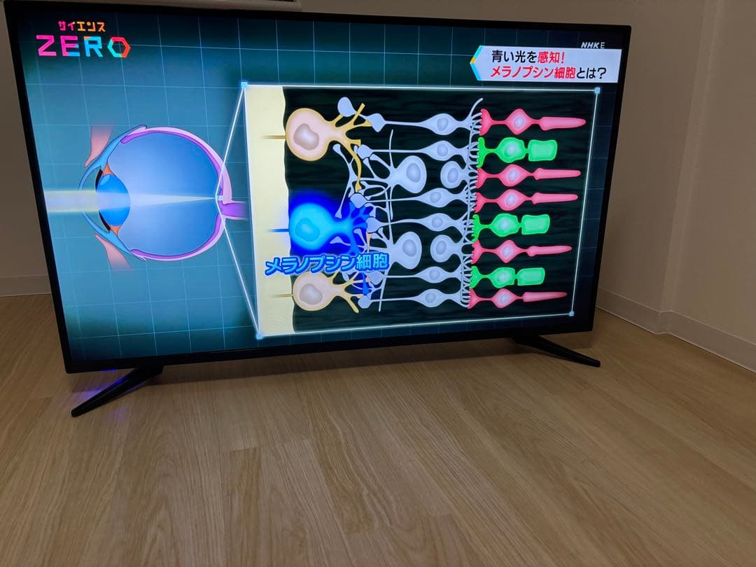 ティーズネットワーク　50型　4K　LE-5070TS4K-BK