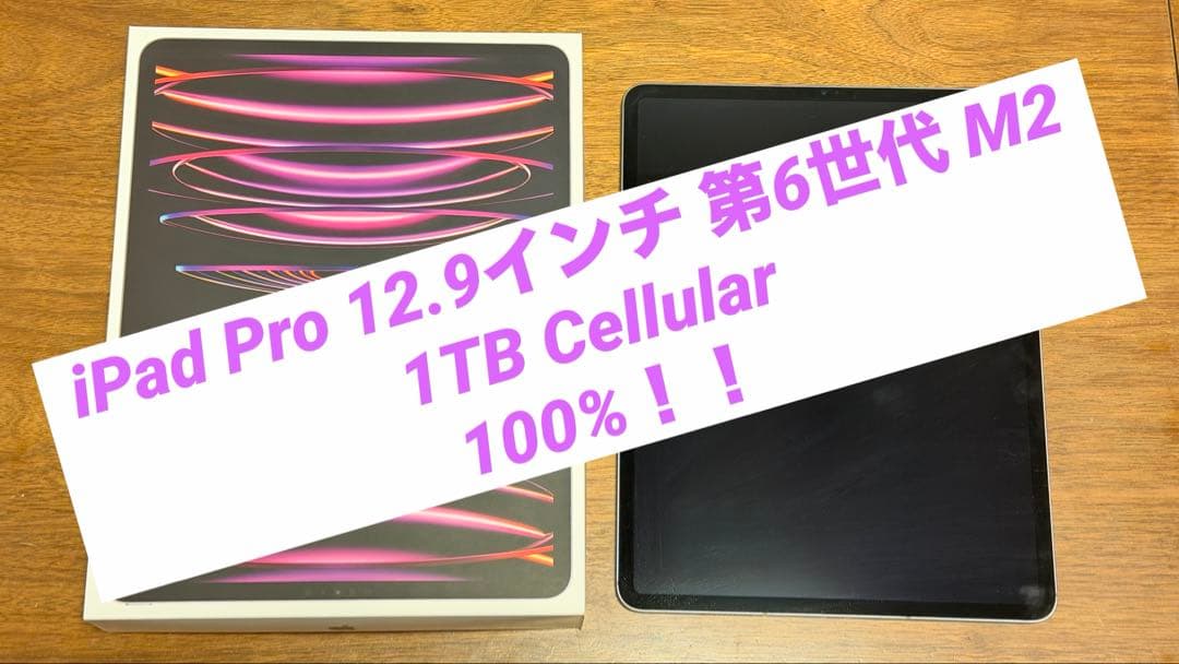 iPad pro 12.9inch第6世代 1TB simfree100%