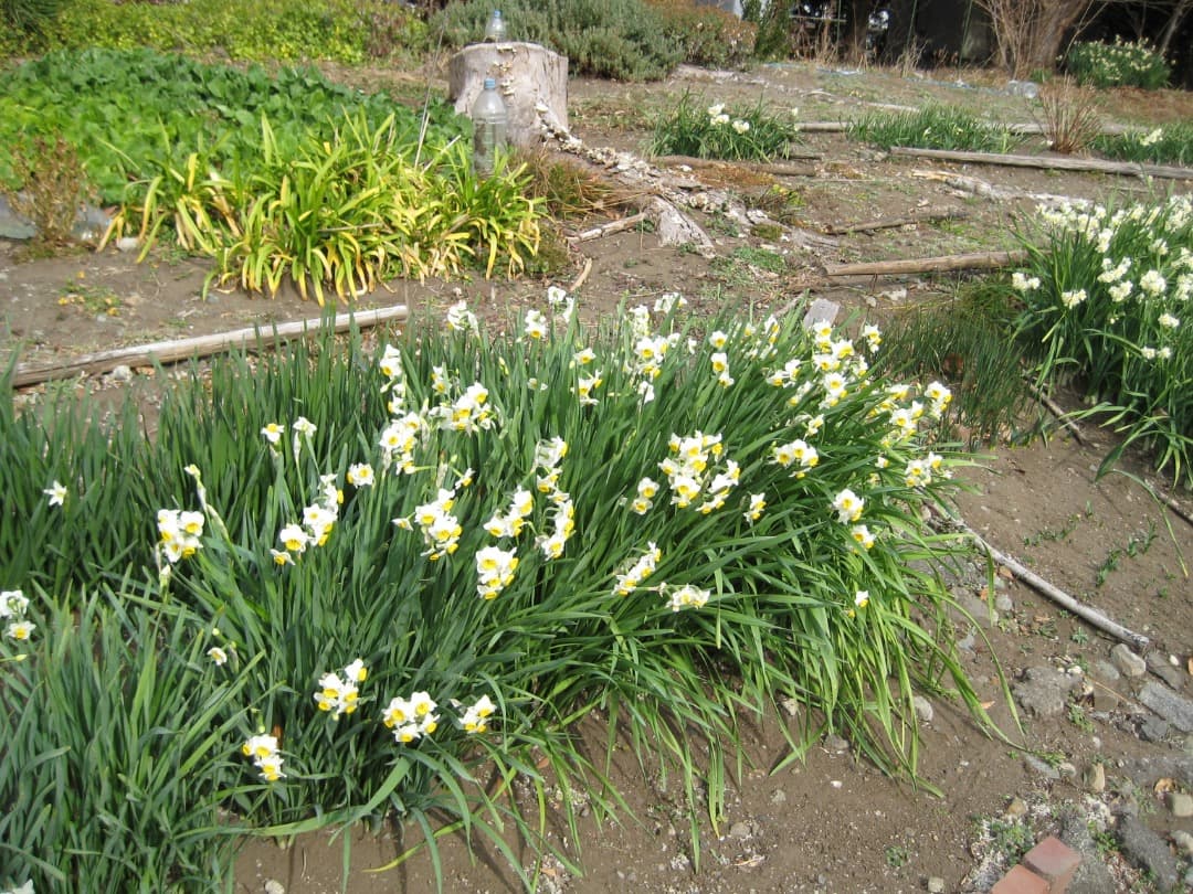 実写美⭕️訳あり【動作確認済み】Canon IXY DIGITAL 10 デジカメ