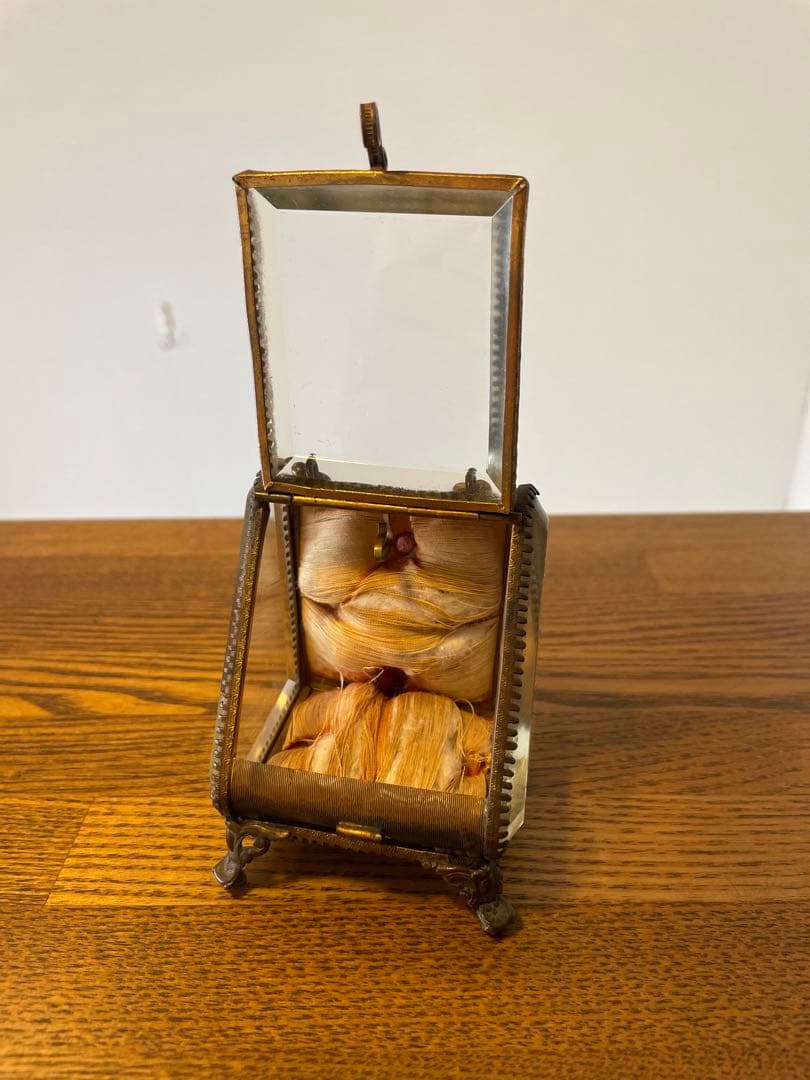 【フランス製】ガラスケース アンティーク ヴィンテージ