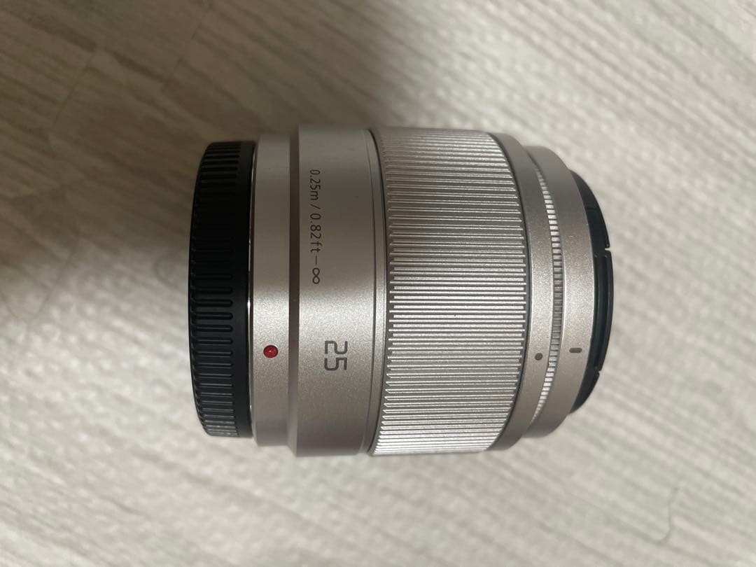 LUMIX Gシリーズ ミラーレスカメラ 望遠ズームレンズ付き