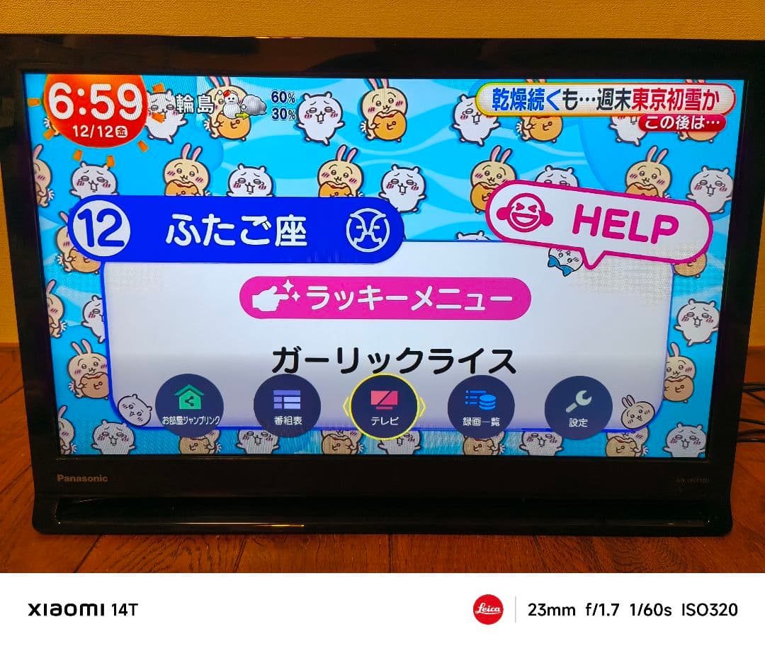 【美品】Panasonic プライベートビエラ UN-19CF10D 大画面