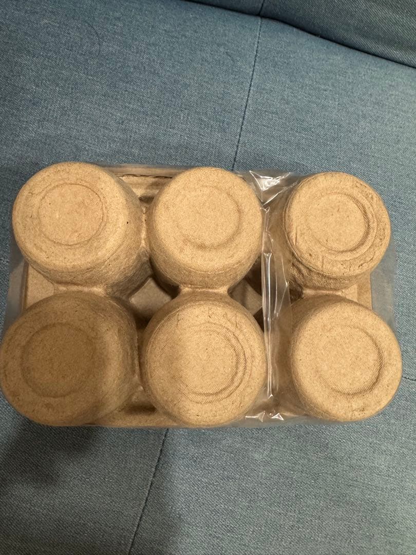 ネカ NECA ALIEN エイリアン　エッグ　フェイスハガー