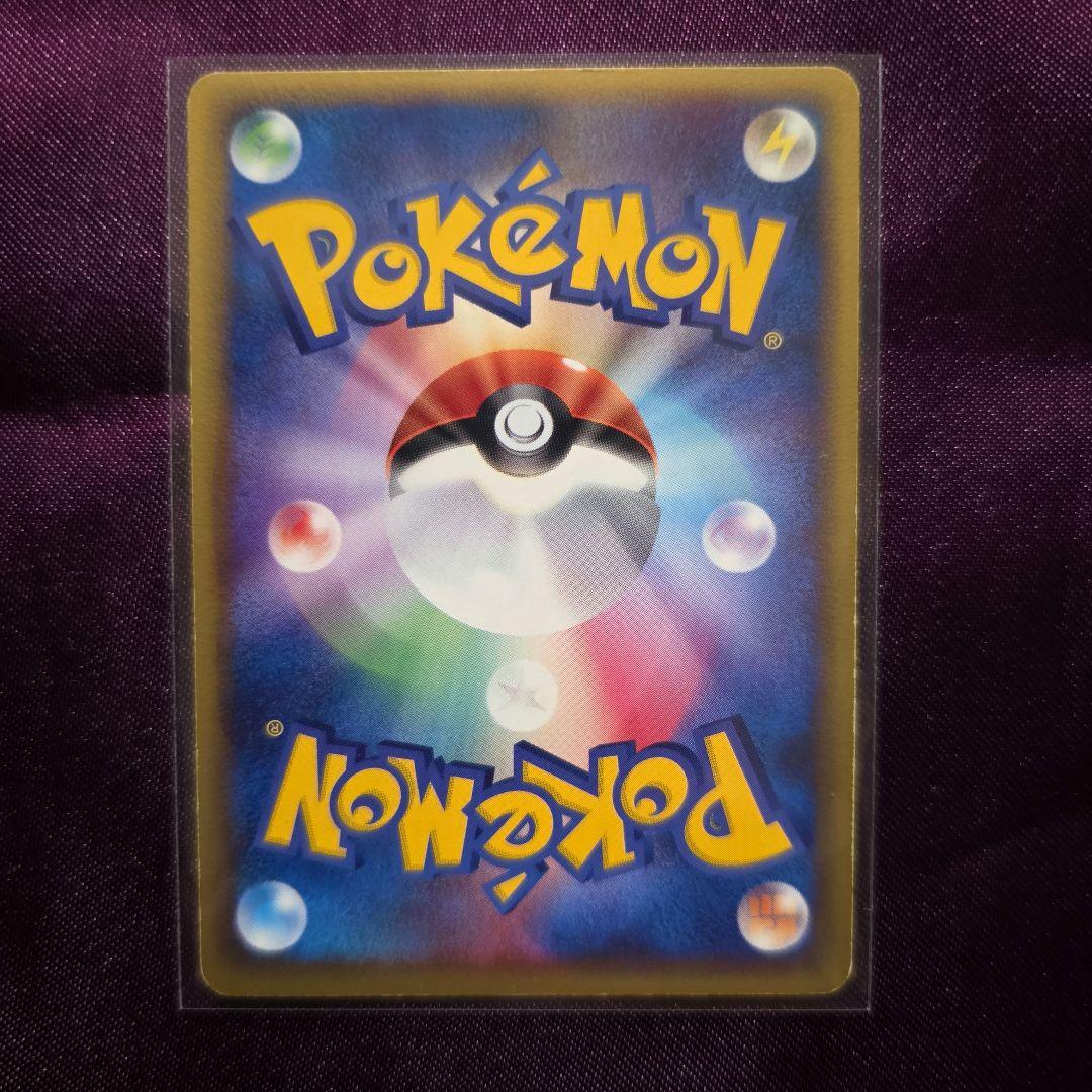 ポケパーク プロモ 2種