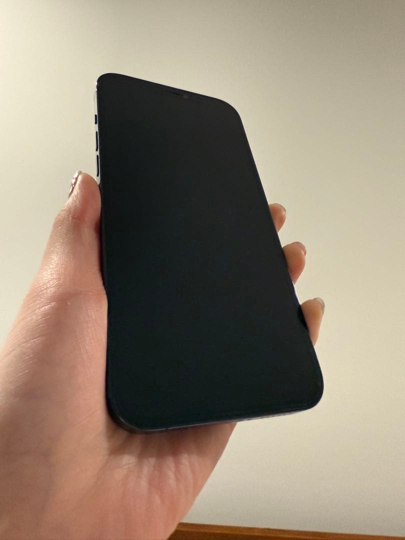 Apple iPhone 12 Pro Max 本体 箱無し