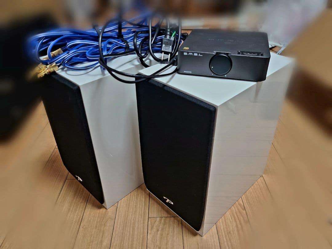 スピーカー・ウーファー Paradigm Monitor SE & S.M.S.L A100