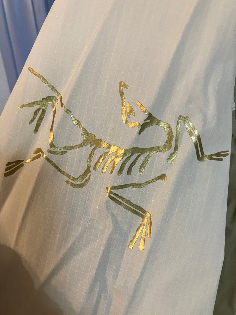 和*ち様 【希少XL】アークテリクス×ビームス別注 スコーミッシュフーディー 和