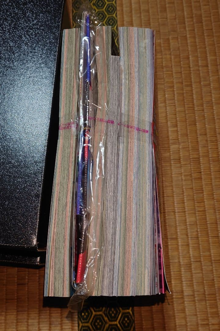 2*5様 ポケモンカードゲーム Mega ドリームEX インフェルノ まとめて