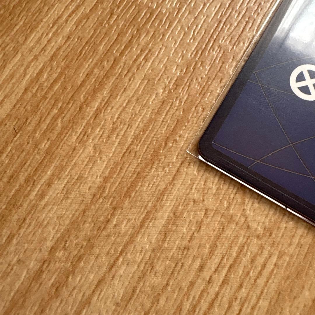 ポートガス・D・エース　シリアル　フラッグシップバトル 優勝記念品　プロモ