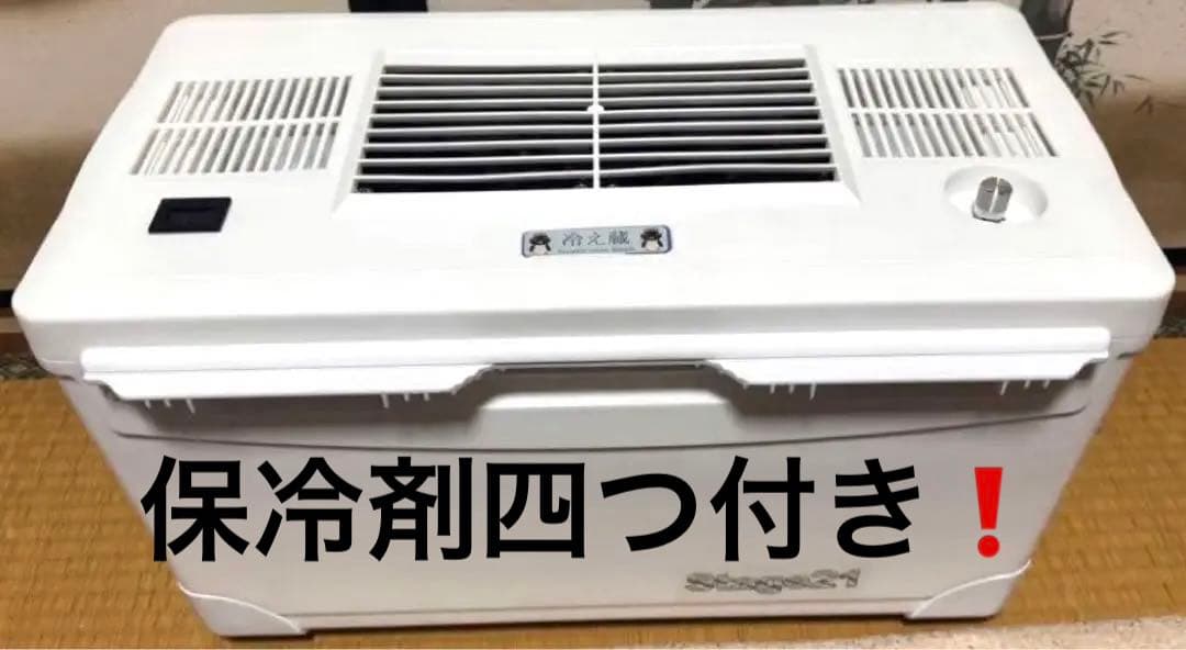 値下げ❗️冷え蔵ⅡEXポータブル クーラーEcoFlowWAVEラクール保冷剤付き