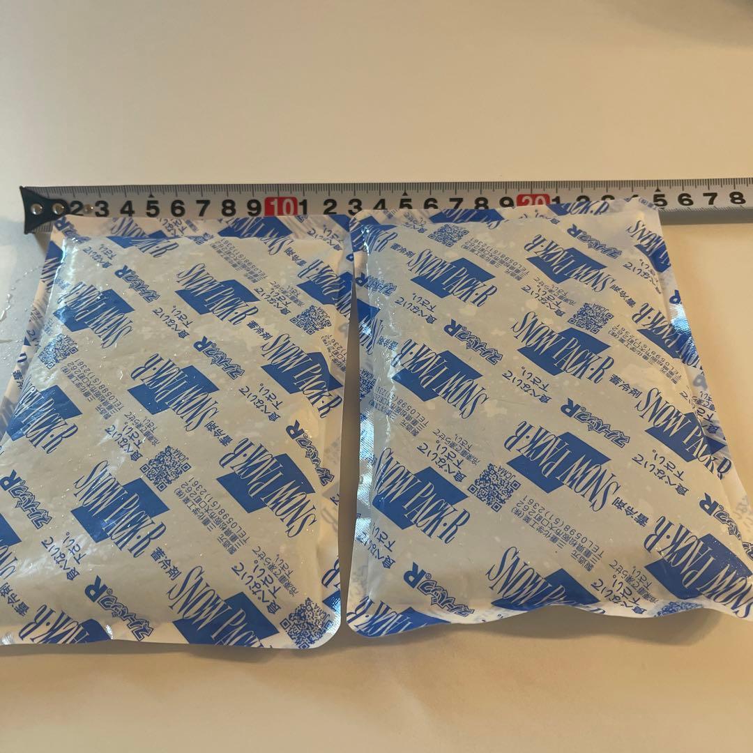 値下げ❗️冷え蔵ⅡEXポータブル クーラーEcoFlowWAVEラクール保冷剤付き