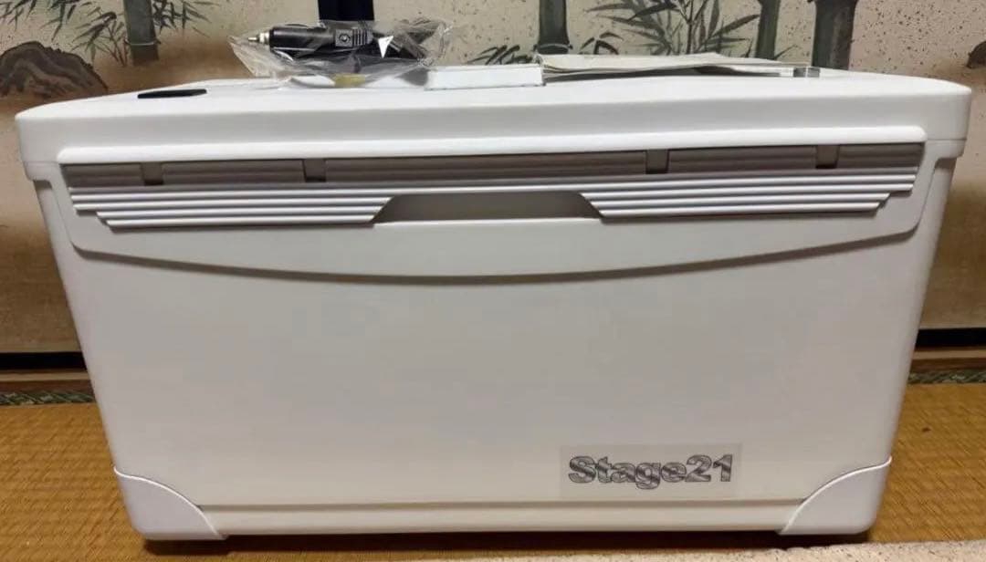 値下げ❗️冷え蔵ⅡEXポータブル クーラーEcoFlowWAVEラクール保冷剤付き