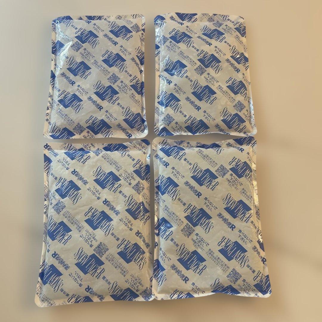 値下げ❗️冷え蔵ⅡEXポータブル クーラーEcoFlowWAVEラクール保冷剤付き