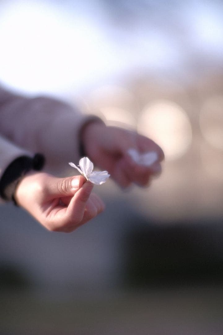 VILTROX ビルトロックス AF 75mm F1.2 XF