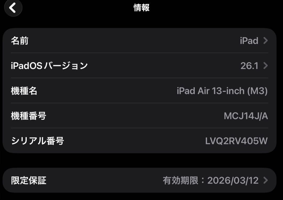 iPad Air M3 13インチ スペースグレー セルラーモデル 美品