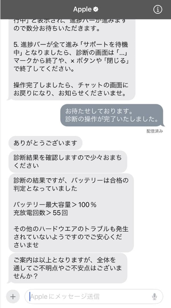 iPad mini Wi-Fi+Cellularモデル　256GB　第6世代