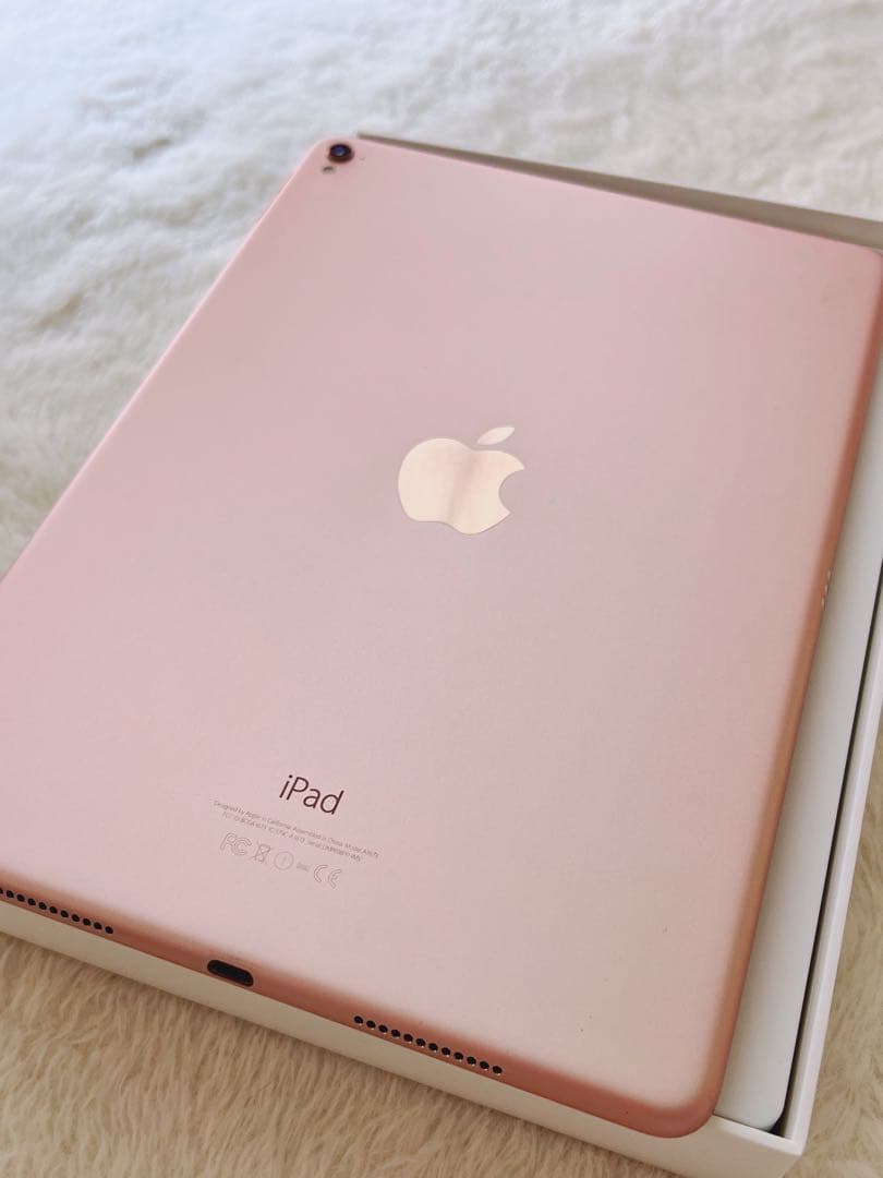 値下げiPad pro9.7インチWi-FiモデルApple Pencil訳あり