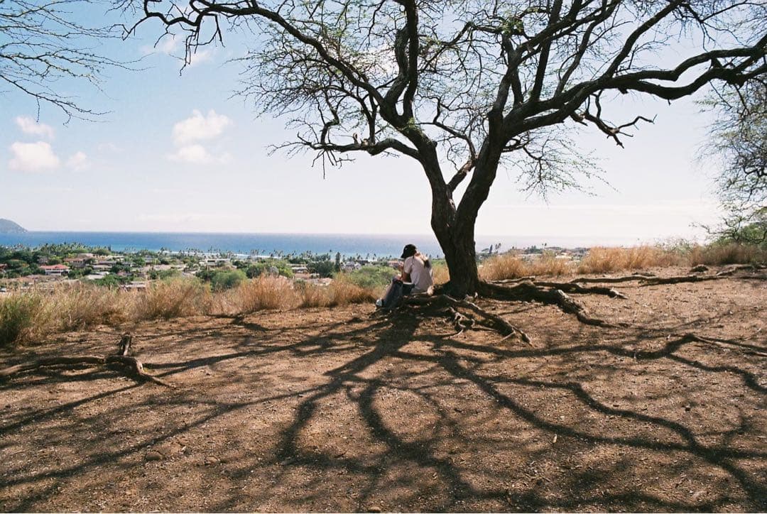 PENTAX MZ-6 （MZ-Lの海外版）