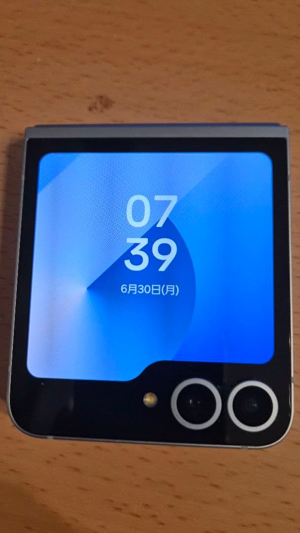 Galaxy Flip6 (SIMフリー、DOCOMO、ミント）