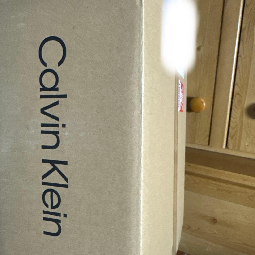 新品未開封 CK ブラレット&ビキニショーツ L グレー