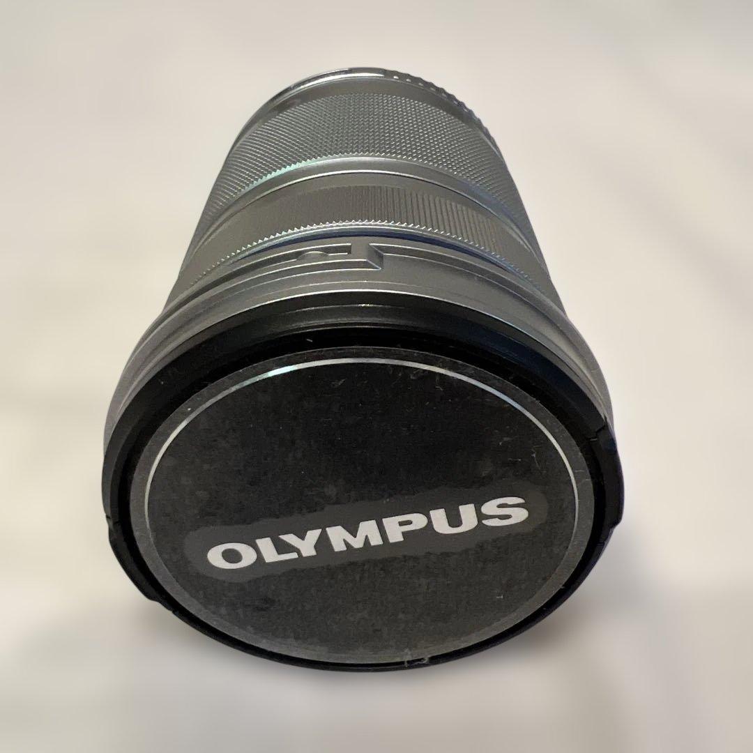 OLYMPUS PEN E-PL8 ミラーレス一眼 カメラ