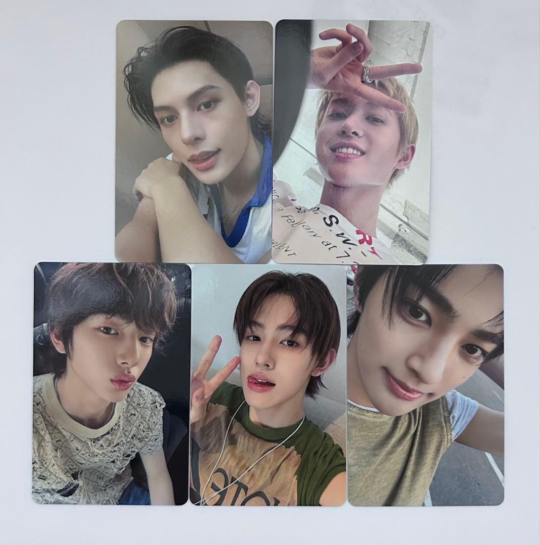 CORTIS ユニバ 特典 トレカ コンプ 5枚