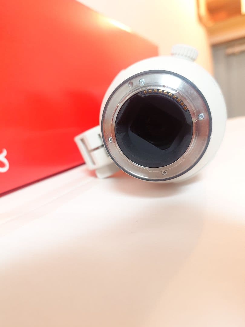 レンズ(ズーム) SEL200600 F5.6-6.3GOSS