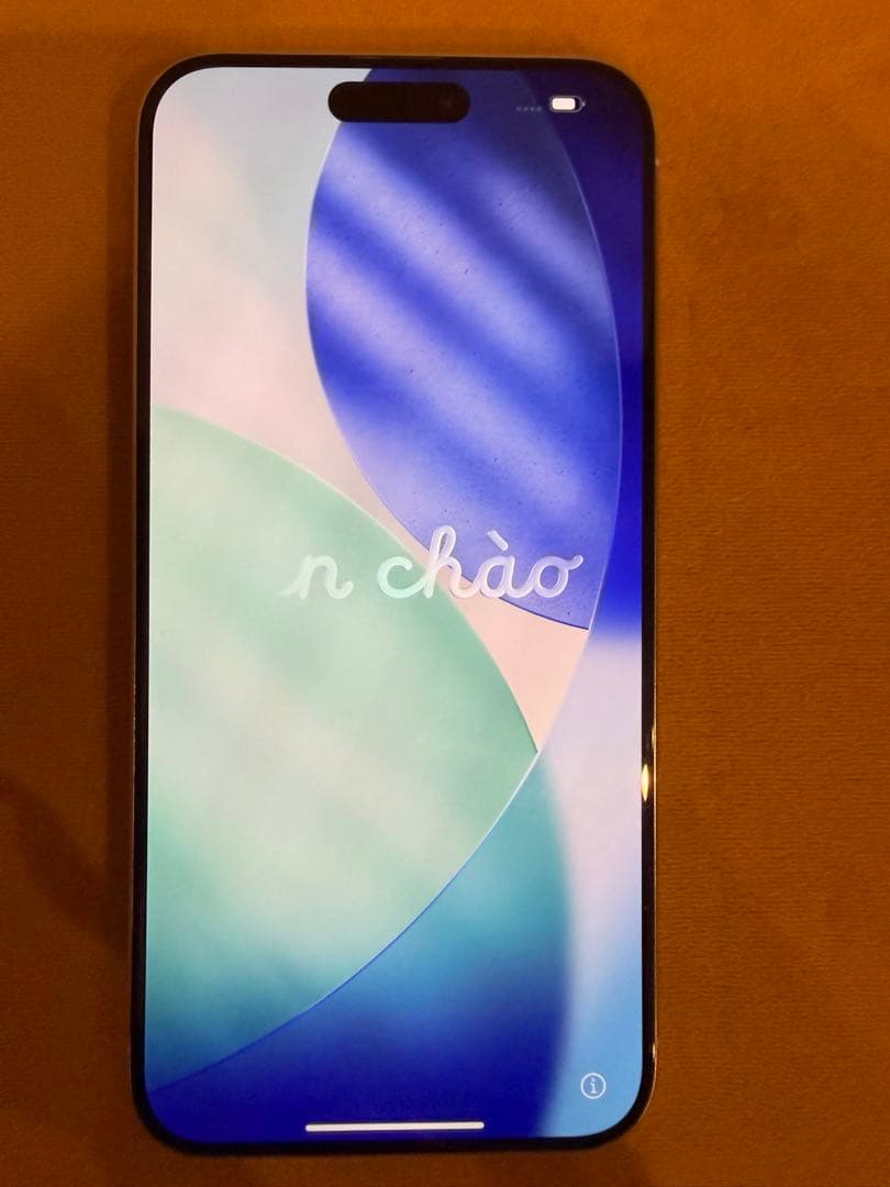 ぽ*ん様 Apple iPhone 15 pro max 256GB