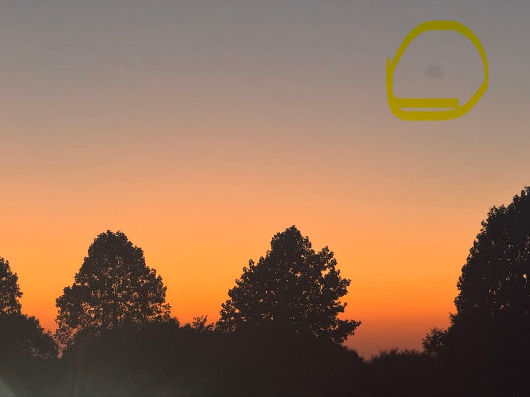 ぽ*ん様 Apple iPhone 15 pro max 256GB