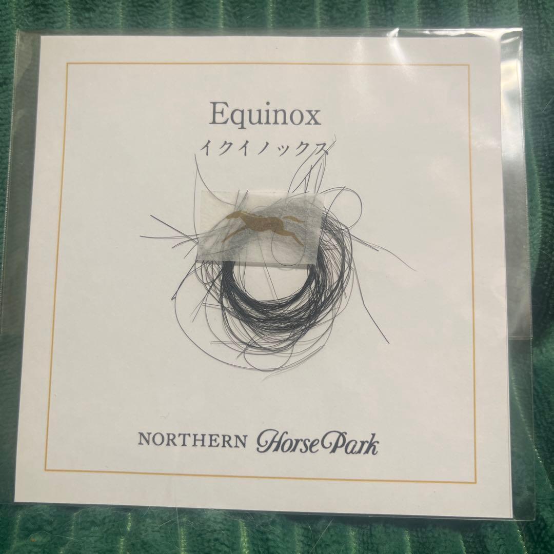 イクイノックス　たてがみ