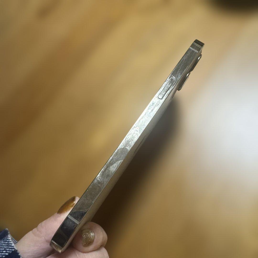 Apple iPhone 12pro max 本体