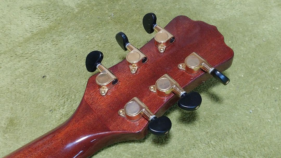 ギター LUNA GUITARS VISTA EAGLE