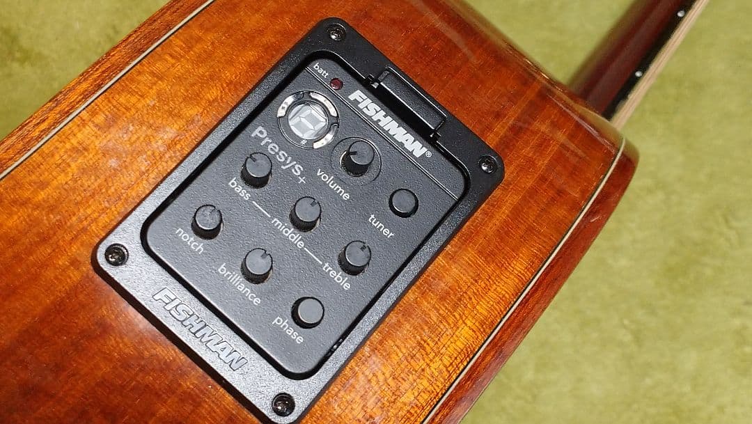 ギター LUNA GUITARS VISTA EAGLE